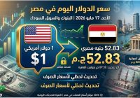 محدث : ارتفاع سعر الدولار في البنوك المصرية إلى 53 من أخر أسعار الدولار اليوم 2 يونيو 2026