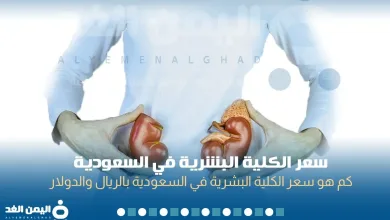 human kidney jpg | سعر الكلية البشرية 2025 في السعودية الريال السعودي الدولار الامريكي The price of a human kidney in Saudi Arabia