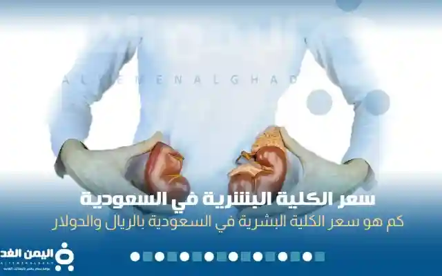 سعر الكلية البشرية 2026 في السعودية الريال السعودي الدولار الامريكي The price of a human kidney in Saudi Arabia
