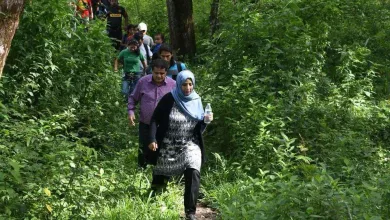 توكل كرمان صور قصيره jpg | توكل كرمان تعلق على فوز قطر في كأس آسيا 2019