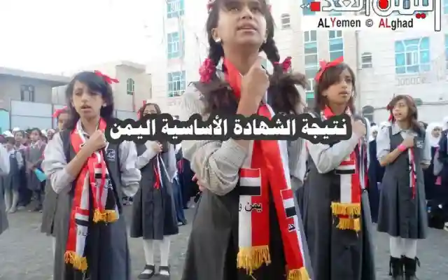 معرفة نتائج الصف التاسع الشهادة الاعدادية رقم الجلوس 2024 ثالث اعدادي