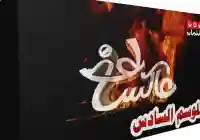 برنامج عاكس خط وحلقة نارية ضد الشرعية اليمنية رئاسة عن بعد