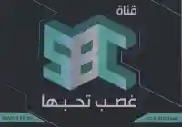 مسلسلات قناة SBC السعودية في رمضان مسلسل عوالم خفية بطولة عادل إمام