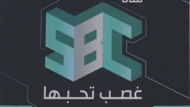 5ad0b1944e729 jpeg | مسلسلات قناة SBC السعودية في رمضان مسلسل عوالم خفية بطولة عادل إمام