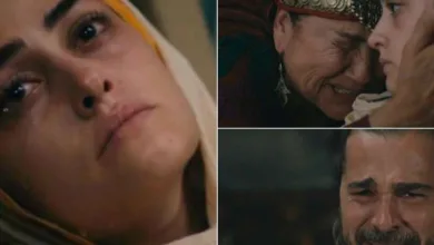 halime 900x400
