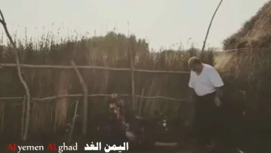 مسلسلات رمضان : حقيقة بث مسلسل همي همك 9 " زنبقه" خلال شهر رمضان 2018 | alyemenalghad.news
