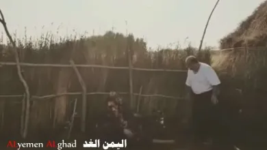 yemen zanbaga jpg | مسلسلات رمضان : حقيقة بث مسلسل همي همك 9 " زنبقه" خلال شهر رمضان 2018