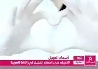 أسماء المهبل في اللغة العربية ماهو إسم الفرج عند العرب