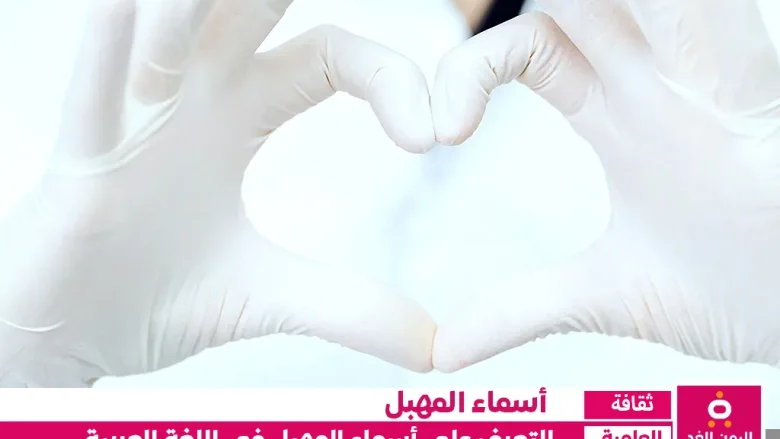 أسماء المهبل في اللغة العربية ماهو إسم الفرج عند العرب