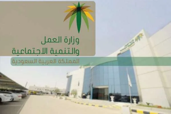 الضمان الإجتماعي يرفع الدعم لطلاب اسر إلى 1000 ريال 1 الضمان الإجتماعي يرفع الدعم لطلاب اسر إلى 1000 ريال - اليمن الغد
