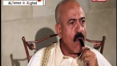 مسلسل ماشي كماشي