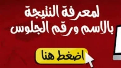 برقم الجلوس نتيجة الثانوية العامة 2019 في مصر ورابط موقع اليوم السابع مبتدا نتائج الطلاب الطالبات | alyemenalghad.news