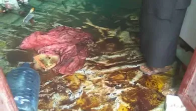 القاء القبض على قاتل صالح ابو بكر ناصر الحداد في الحوطة - اليمن الغد