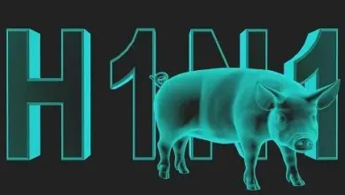 H1N1 jpg | مرض انفلونزا الخنازير H1N1 يصل صنعاء