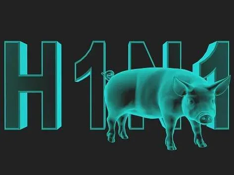 H1N1 jpg | مرض انفلونزا الخنازير H1N1 يصل صنعاء