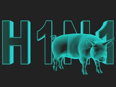مرض انفلونزا الخنازير H1N1 يصل صنعاء 1 H1N1