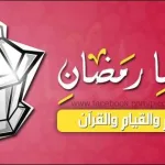 ELSAHEFA 23459 19