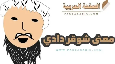 معنى كلمة شوقر دادي لكل بنت تحب ذلك ايش معناها | alyemenalghad.news