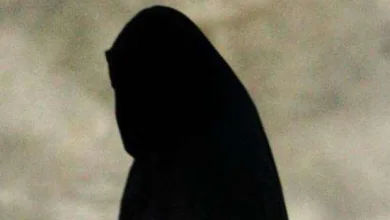 كويتي يتحرش بطفلة معنى كلمة البيدوفيليا - اليمن الغد
