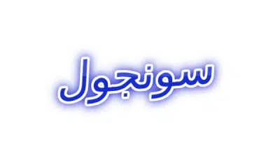 معنى اسم سونجول وصفاته | alyemenalghad.news