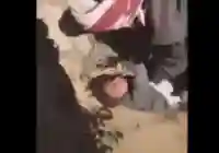 اعتقال مرتكبي تعذيب طفل ارحب في مديرية ارحب في صنعاء