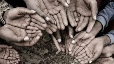 معنى الإملاق وايش تعني الاملاق في القرآن | alyemenalghad.news