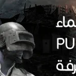أسماء ببجي مزخرفة