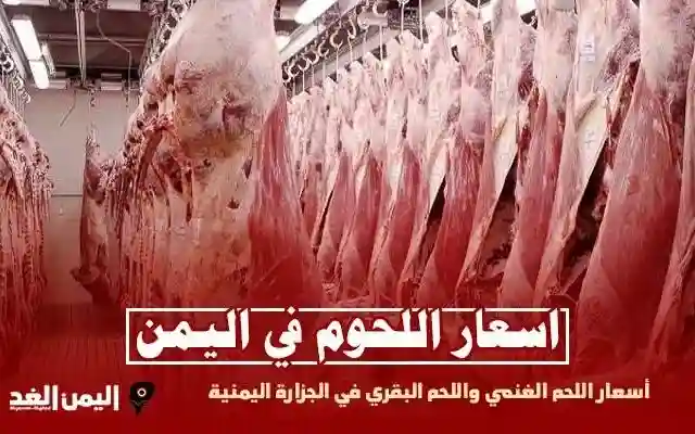سعر اللحوم في اليمن صنعاء أسعار اللحم البقري الغنمي قبل موعد عيد الاضحى في اليمن 2024