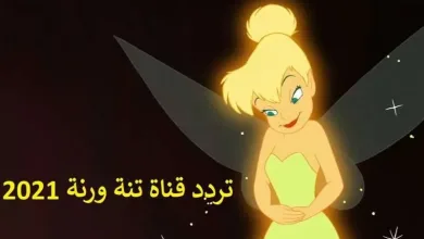تردد قناة تنة ورنة الجديد