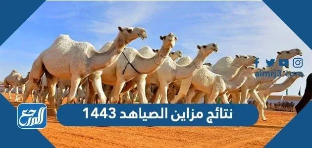 نتائج مزاين الصياهد 1446 الصفر 1 نتائج مزاين الصياهد 1443 الصفر