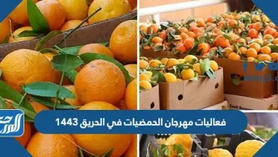 فعاليات مهرجان الحمضيات في الحريق 1443