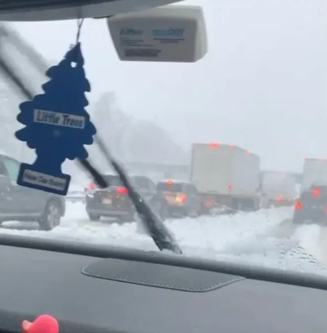 Springfield family shares experience of being stranded on I-95 in Virginia for hours