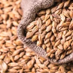 علاج البواسير الداخلية بالعسل والأعشاب الطبيعية 2025 - اليمن الغد