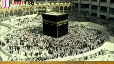 تردد قناة القرآن الكريم | ويكي مصر