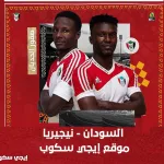 عدد سكان نيجيريا 2024 عملاق أفريقيا وعدد ترتيبها في العالم Population of Nigeria - اليمن الغد