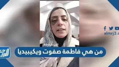 من هي فاطمة صفوت ويكيبيديا