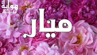معنى اسم ميار وصفاتها - هواية