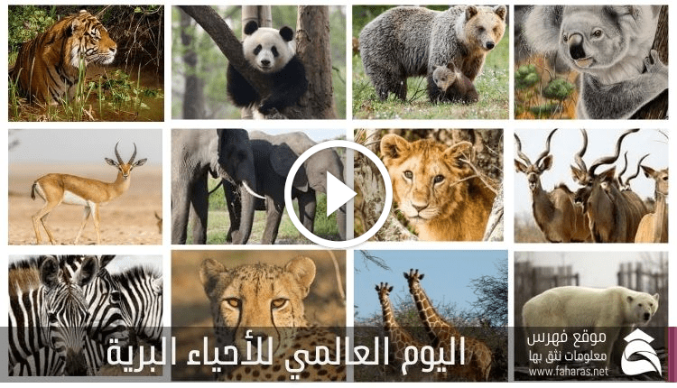 اليوم العالمي للأحياء البرية 2022؛ أهم المعلومات عنه ـ فهرس 1 اليوم العالمي للأحياء البرية 2022؛ أهم المعلومات عنه ـ فهرس