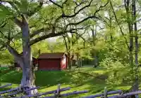 أهم المعلومات عن السويد  The most important information about Sweden