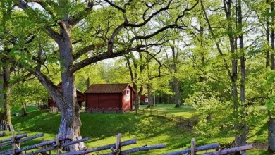 أهم المعلومات عن السويد - موقع فهرس