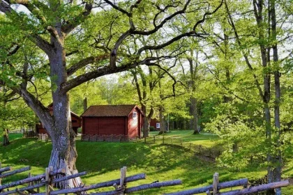 أهم المعلومات عن السويد - موقع فهرس