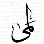 قصة لمى الروقي الفتاة السعودية التي سقطت في البئر - اليمن الغد