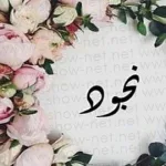 من نجود الحريقي ويكيبيديا سناب شات تويتر - اليمن الغد