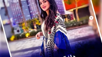 dania1 jpg | من هي دانية شافعي انستقرام دانيا الشافعي