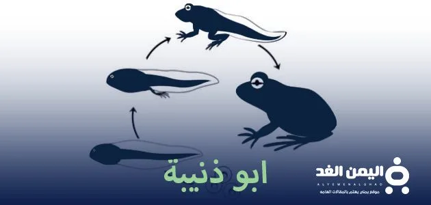 ايمما يلي غير مرتبط مع أبي ذنيبة ماهو او ذنيبه 1 abutha