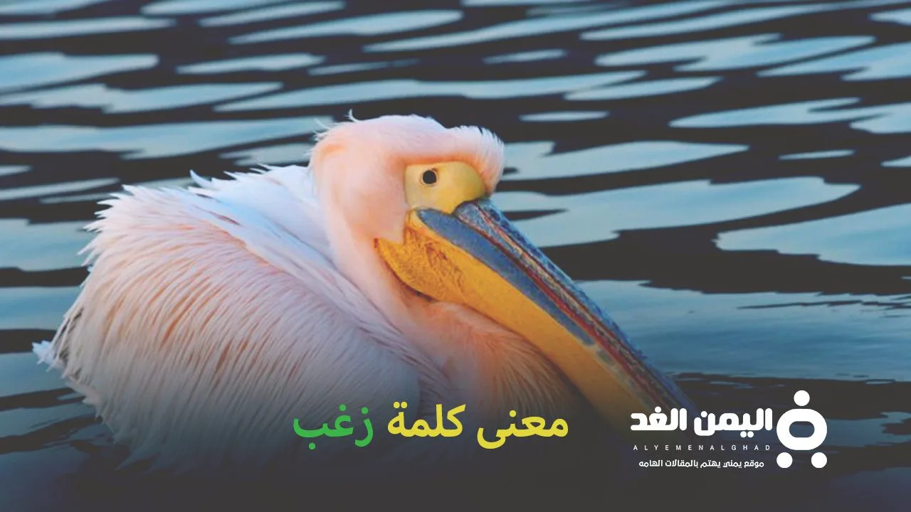 معنى كلمة زغب وهل هي نفسها كلمة زغبني في السعودية الخليج كلمة زغب