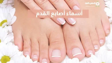 أسماء أصابع القدم