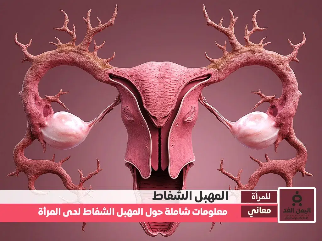 ماهو المهبل الشفاط وماهو معنى المهبل الشفاط ماهو المهبل الشفاط وماهو معنى المهبل الشفاط