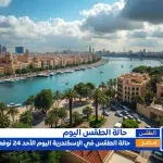الأشعة السينية للأسنان؛ أهم 4 أنواع لها وكيف تستعد - اليمن الغد