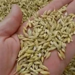 عاجل: اليمنيين ممنوعين من دخول أمريكا و33 خبيراً ومسؤولاً أمريكياً يطالبون بتمديد وضع الحماية المؤقت لليمنيين - اليمن الغد